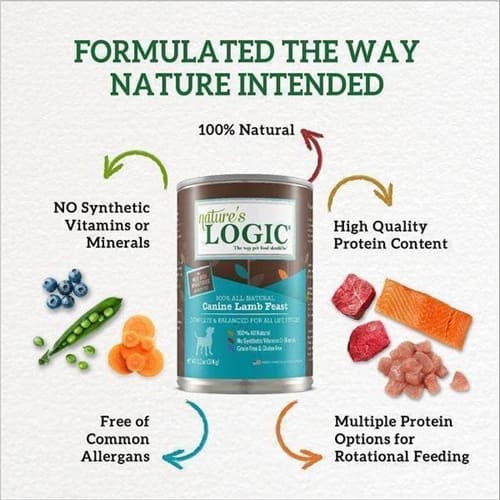 Best Dog Food For Huskies