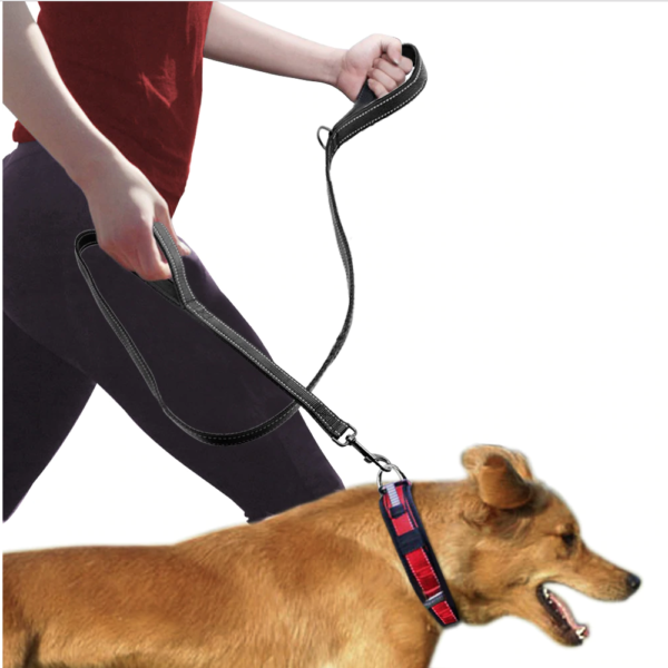Double Handle Heavy Duty Dog Leash - Imagen 5