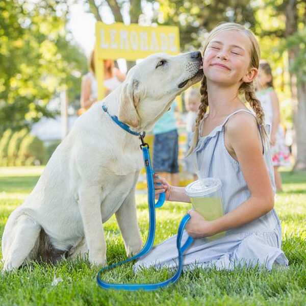 Double Handle Heavy Duty Dog Leash - Imagen 9