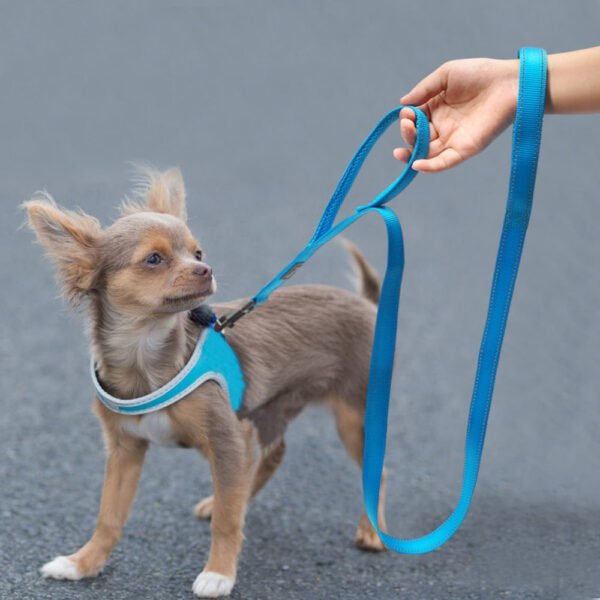 Double Handle Heavy Duty Dog Leash - Imagen 10